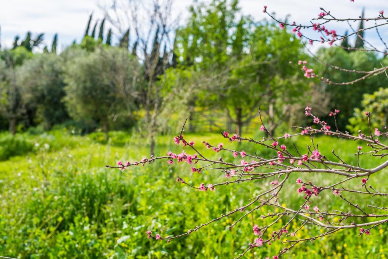 Traumhafte Finca Son Senyor - Mit Pferdekoppel Villa ซาโปบลา ภายนอก รูปภาพ