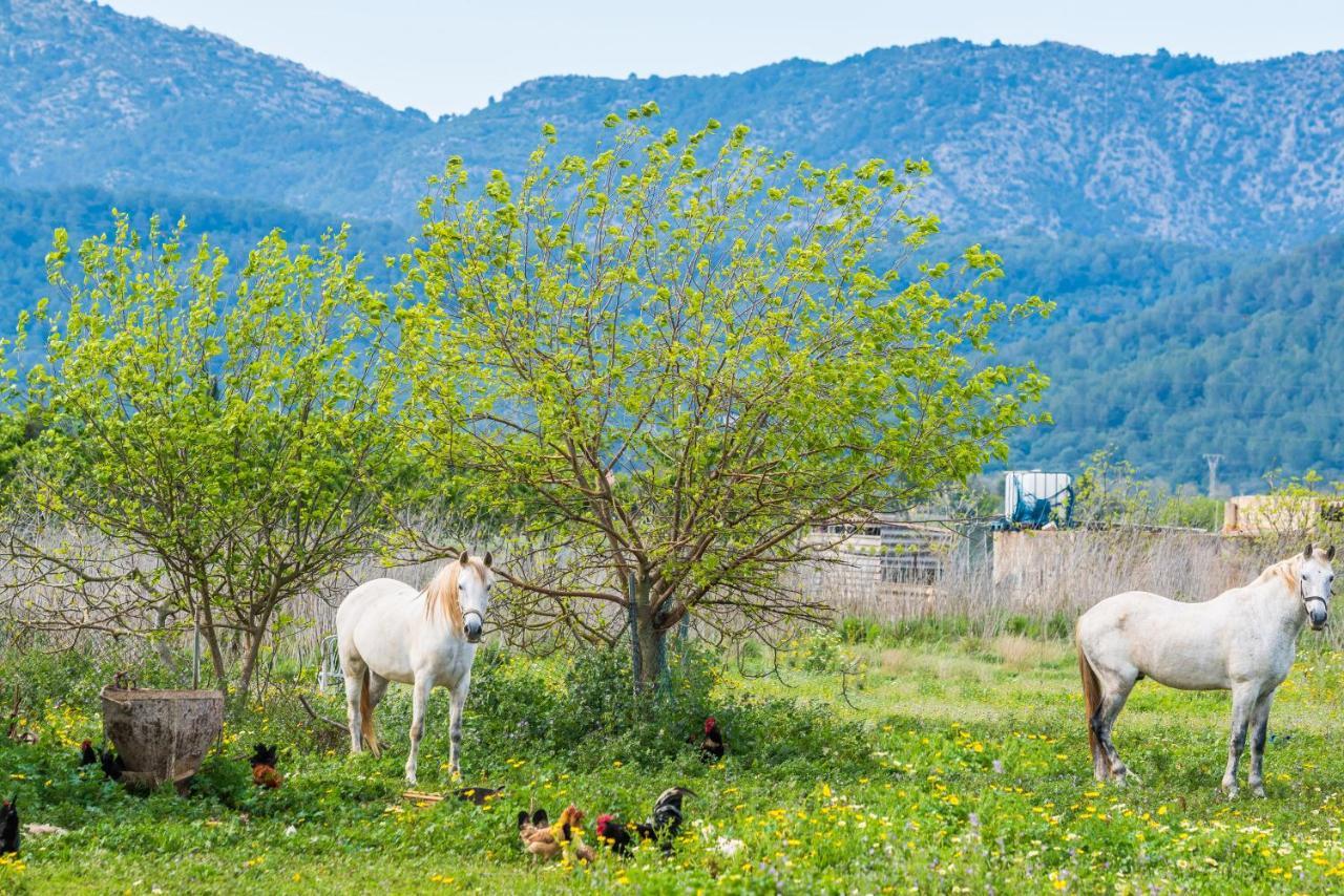 Traumhafte Finca Son Senyor - Mit Pferdekoppel Villa ซาโปบลา ภายนอก รูปภาพ